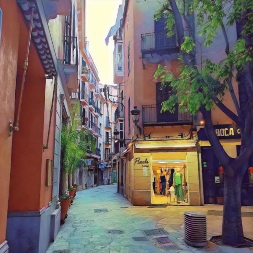 Tranquila En El Centro Historico Palma de Mallorca